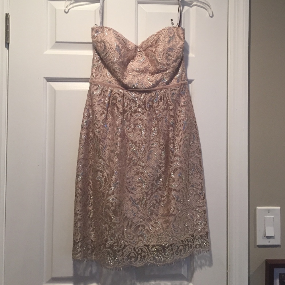 Jenny Yoo Strapless Sequin Lace Dress in Blush Gold